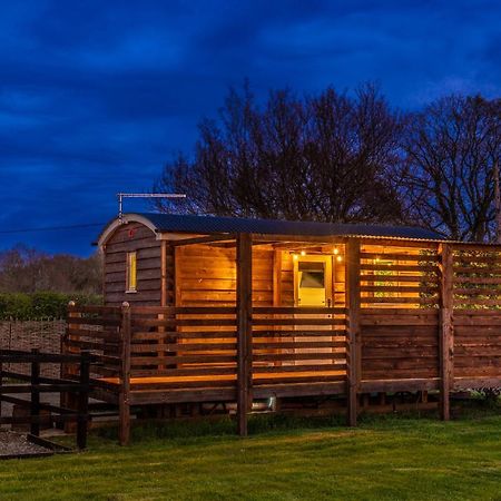 Hillside View Shepherds Hut - Ockeridge Rural Retreats Little Witley Екстер'єр фото