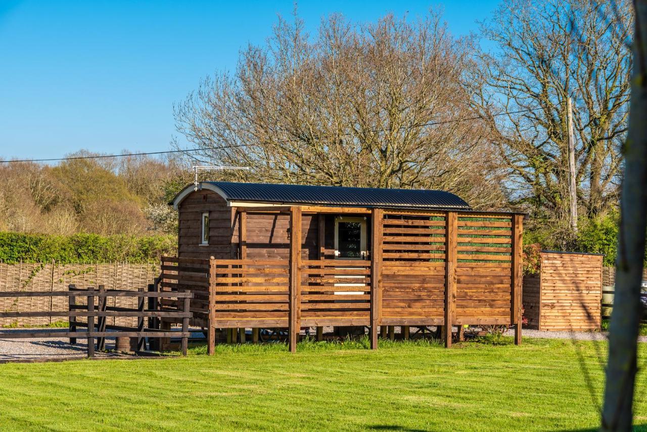 Hillside View Shepherds Hut - Ockeridge Rural Retreats Little Witley Екстер'єр фото